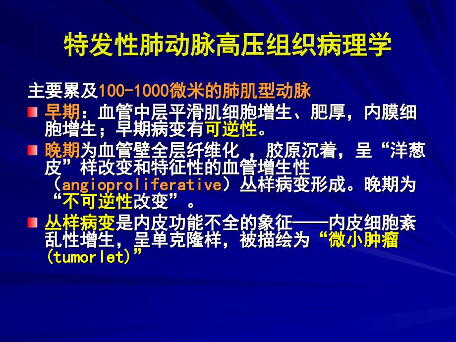 特发性肺动脉高压的诊断课件_1_第4页