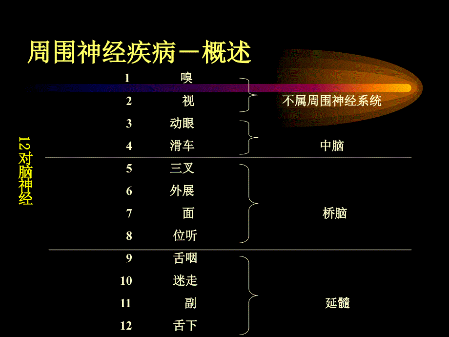 周围神经系统疾病（ppt x页）课件_第4页