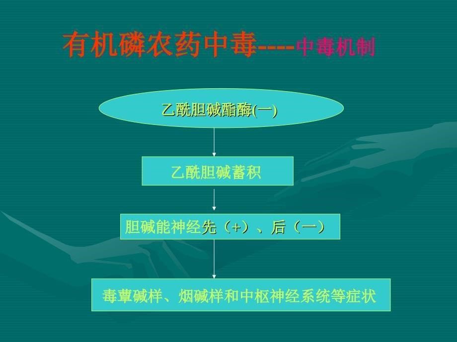 临床医学有机磷杀虫药中毒演示文稿课件_第5页