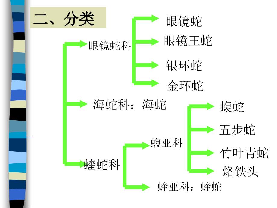 毒蛇咬伤课件_8_第3页