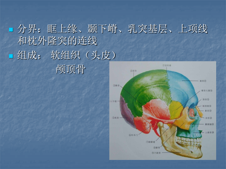 第六章颅部局部解剖课件_第2页