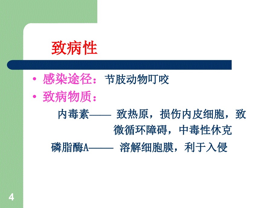 斑疹伤寒精要课件_第4页