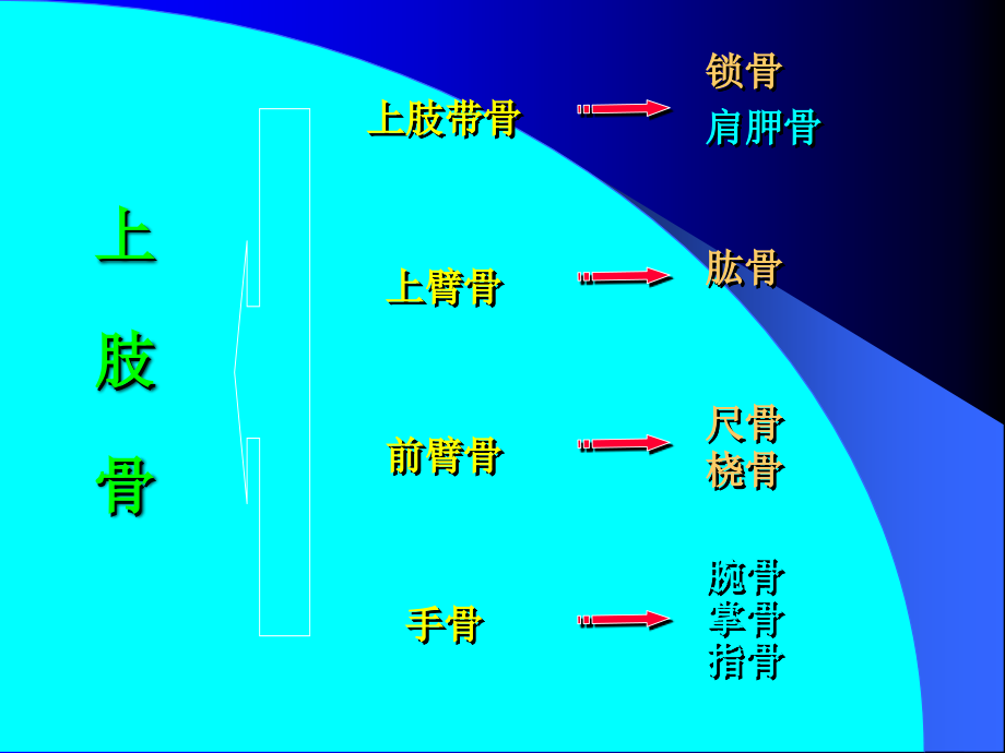 上肢骨折 精品课件_第3页