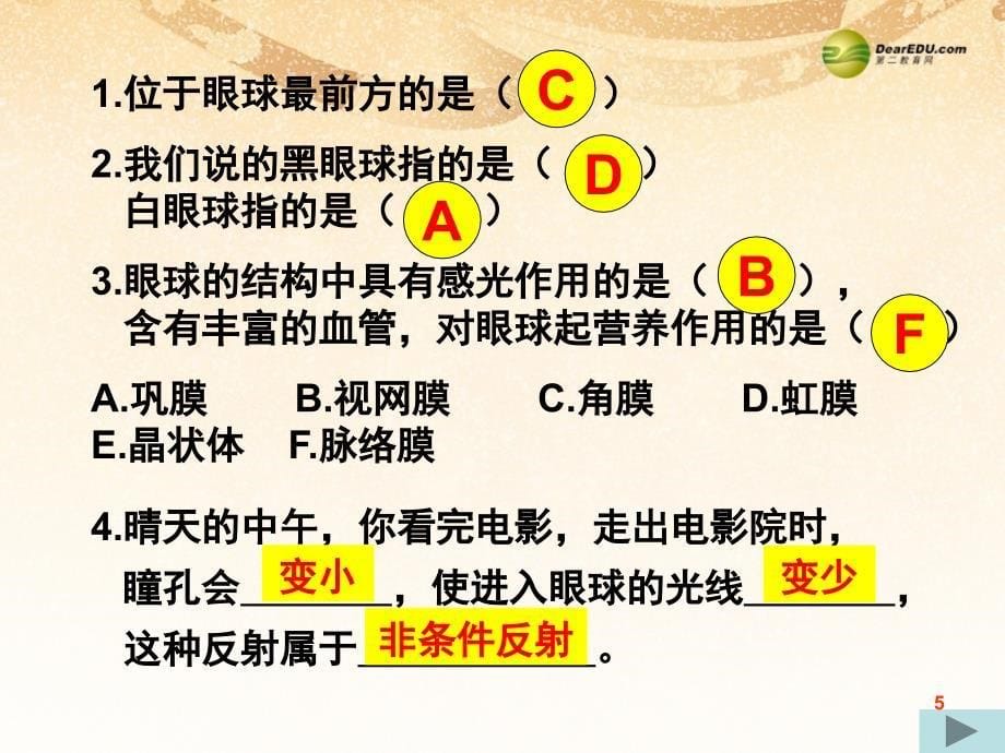 七年级生物下册_4123_人体感知信息课件二 （新版）苏教版_第5页