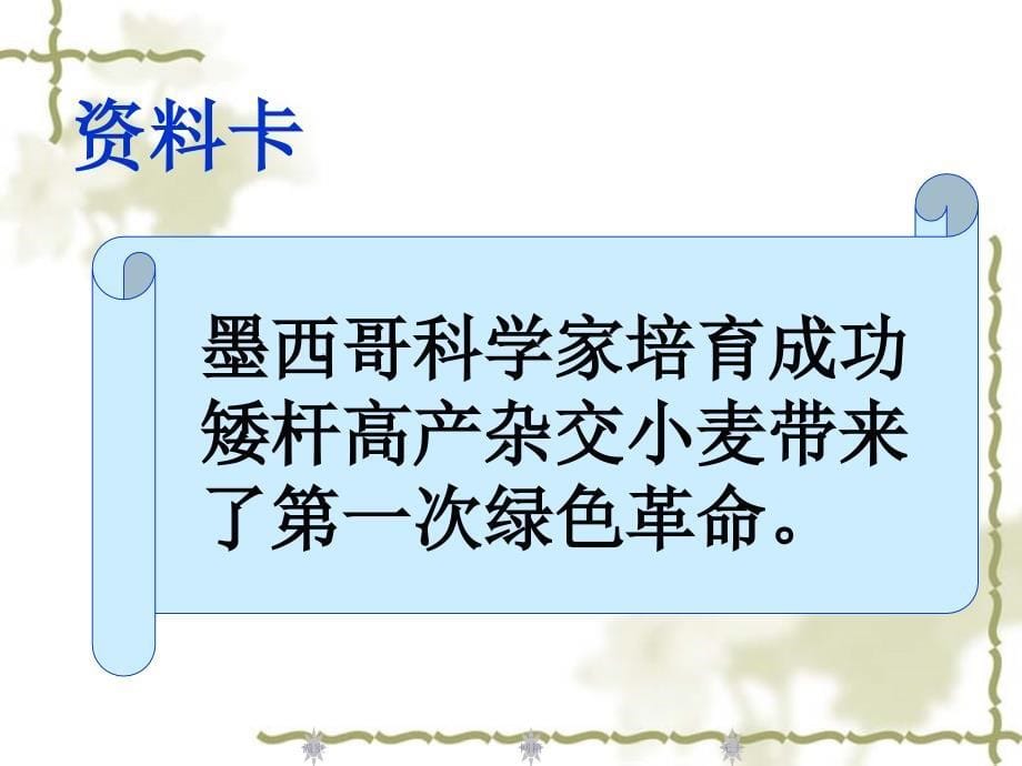 《11震撼世界的绿色革命课件》小学品德与社会鲁美2001课标版五年级上册课件_1_第5页