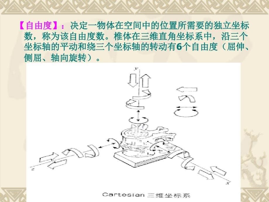 脊柱小关节紊乱精要课件_第5页