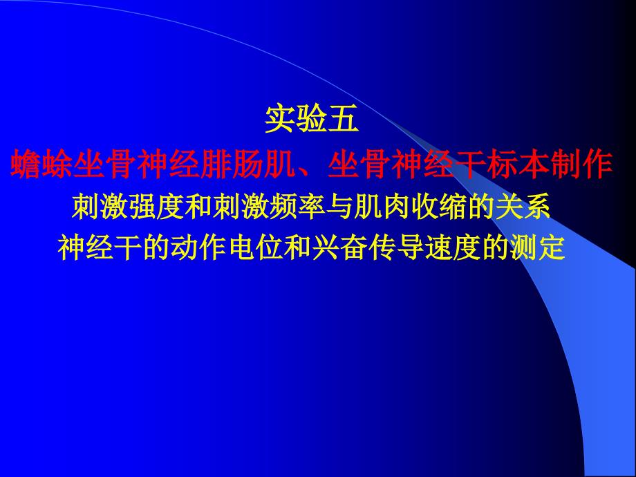 实验五解剖生理学 坐骨神经绯肠肌标本制作课件_第1页