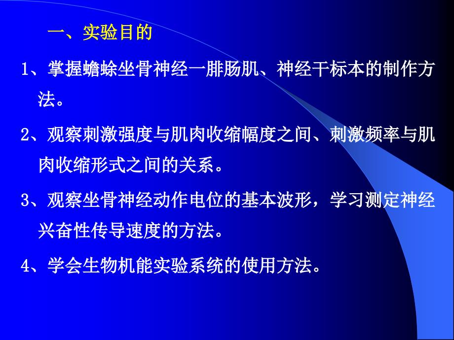 实验五解剖生理学 坐骨神经绯肠肌标本制作课件_第2页