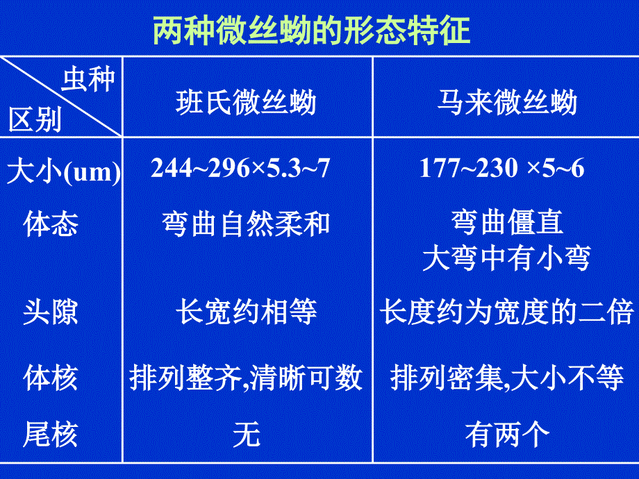 丝虫肝吸虫姜片虫课件_第3页