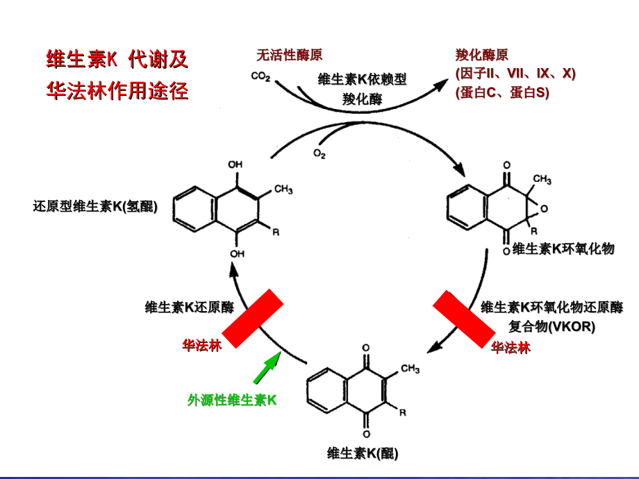 抗凝治疗的合并症ppt课件_第3页