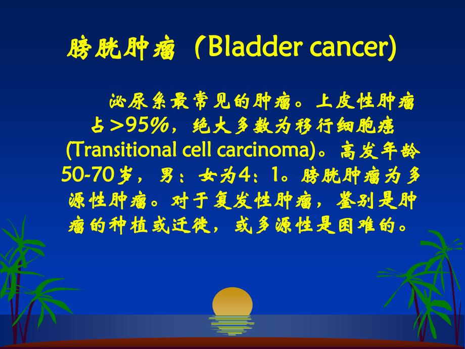 外科学多媒体课件 膀胱肿瘤_第2页