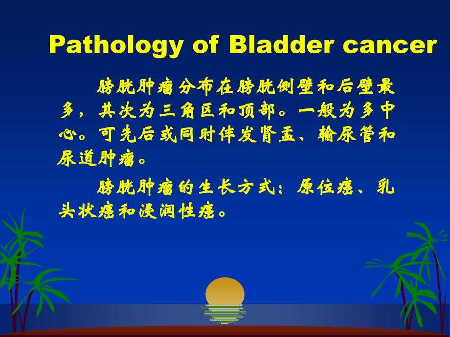 外科学多媒体课件 膀胱肿瘤_第3页