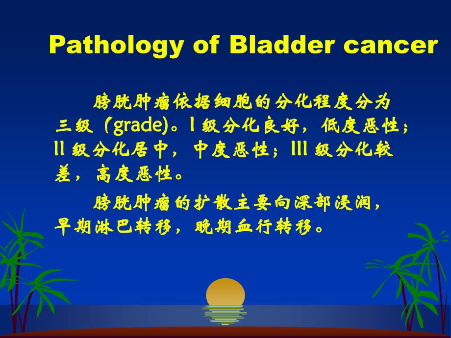 外科学多媒体课件 膀胱肿瘤_第4页