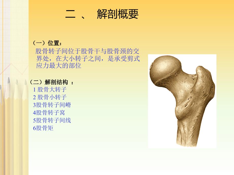 股骨转子间骨折的护理业务学习课件_第4页