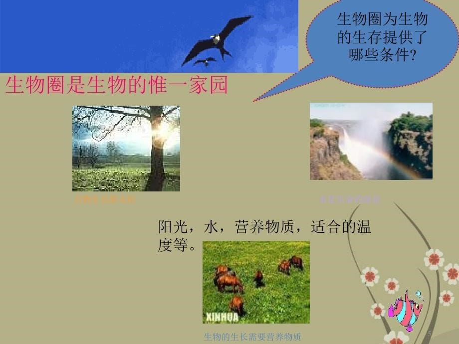 甘肃省八年级生物下册《生物生存的家园》课件_苏教版_第5页