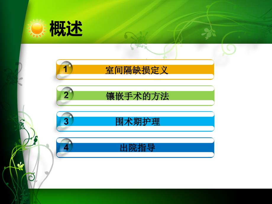 室间隔缺损镶嵌术围术期护理课件_第2页