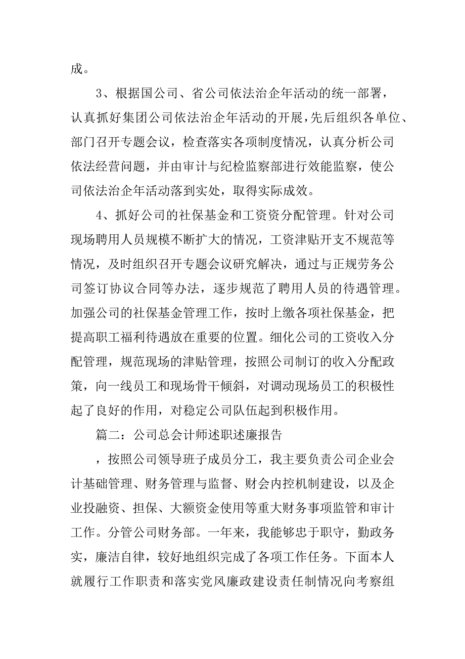 xx年公司总会计师述职述廉报告_第3页