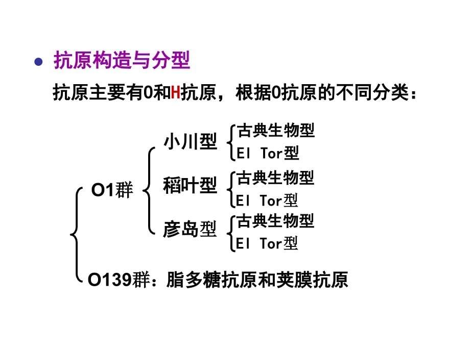 第1013章 霍乱弧菌破伤风梭菌产气荚膜梭菌结核分枝杆菌课件_第5页