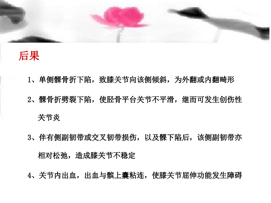 胫骨平台骨折治疗分型课件_1_第4页