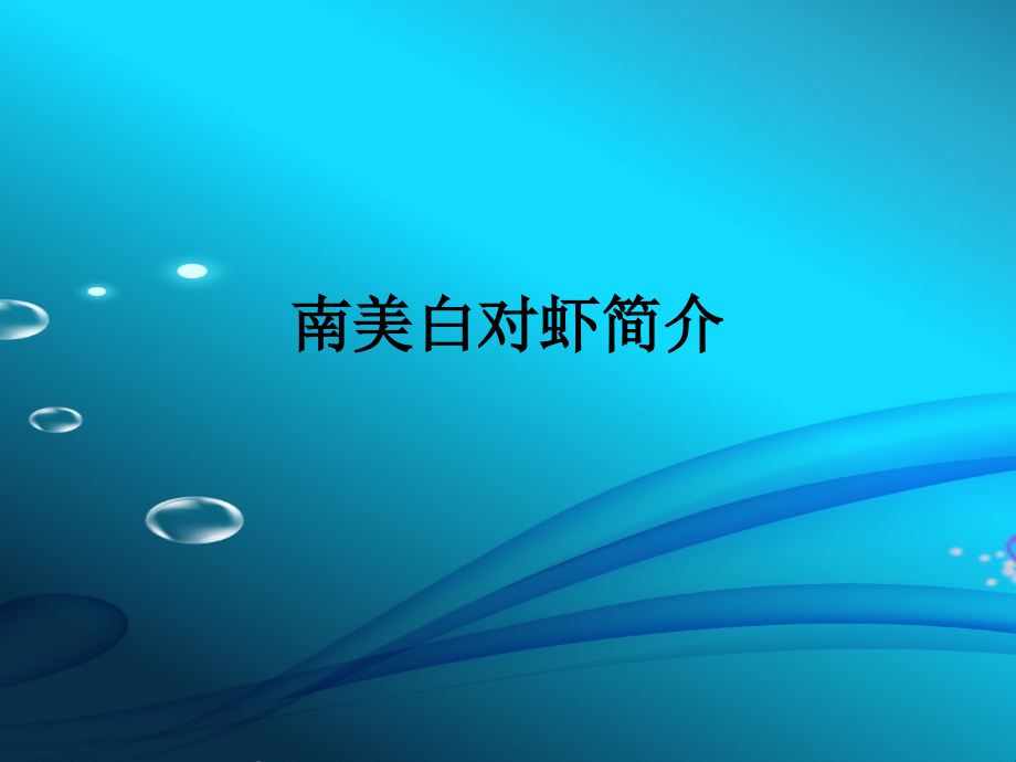南美白对虾简介课件_第1页