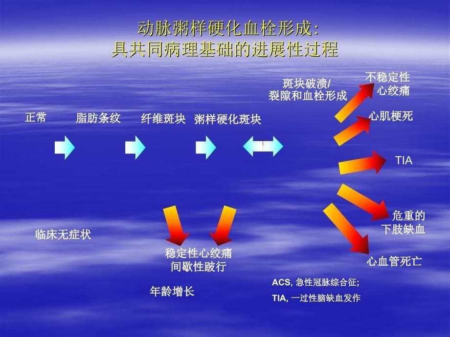 下肢动脉硬化闭塞症的诊断治疗和预防课件_1_第5页