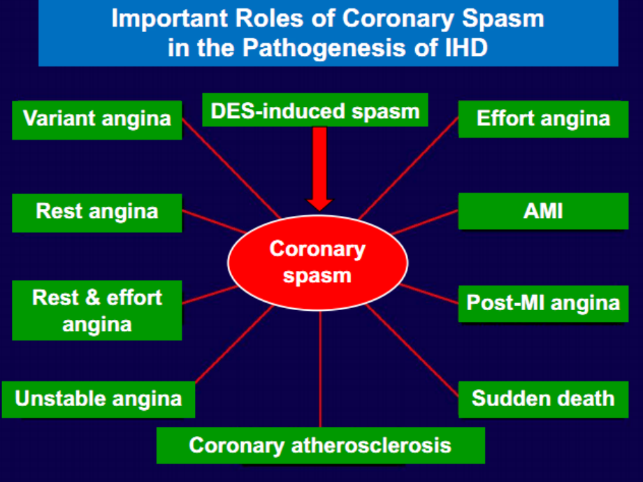 临床医学2012年冠状动脉痉挛的机制与诊治进展课件_第2页