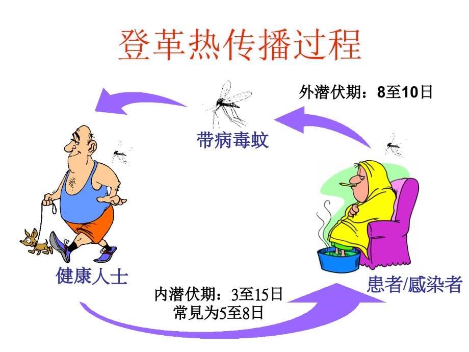 登革热防制技术指南介绍课件_第5页