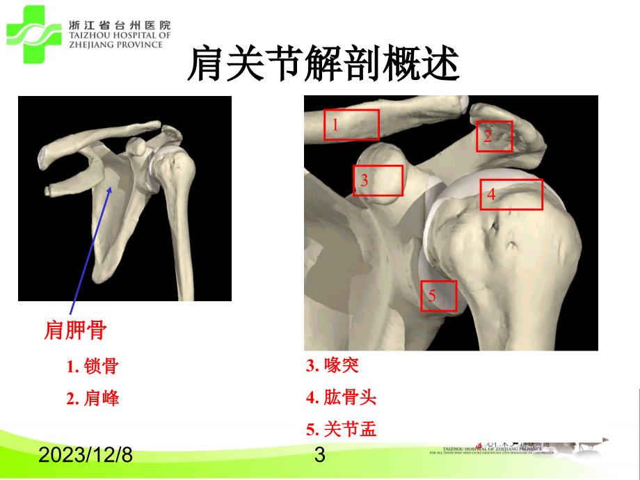 肩关节损伤影像学评估课件_第3页