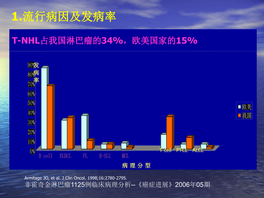 细胞非霍奇金淋巴瘤诊疗进展课件_1_第3页