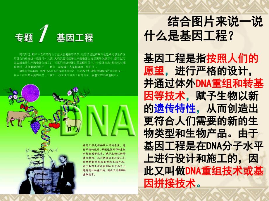 用《dna重组技术的基本工具》课件（新人教版选修3）附件_第1页