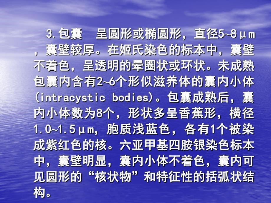 卡氏肺孢子虫（pneumocystis精品共享课件_第5页