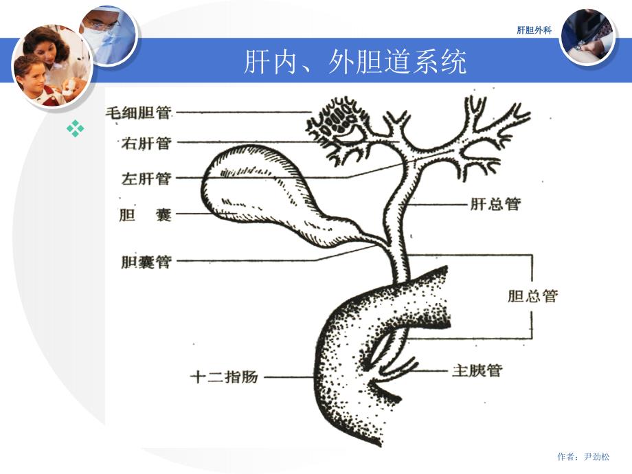 胆道镜结合微爆破在治疗难治性肝内外胆管结石中的应用课件_第3页