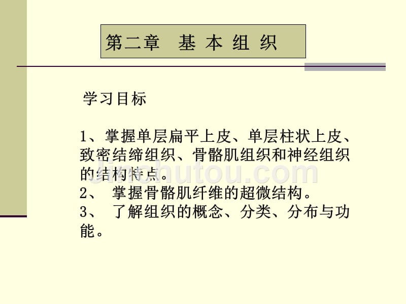 单层扁平上皮单层柱状上皮致密结缔组织骨骼肌组织和神经组织课件_第1页