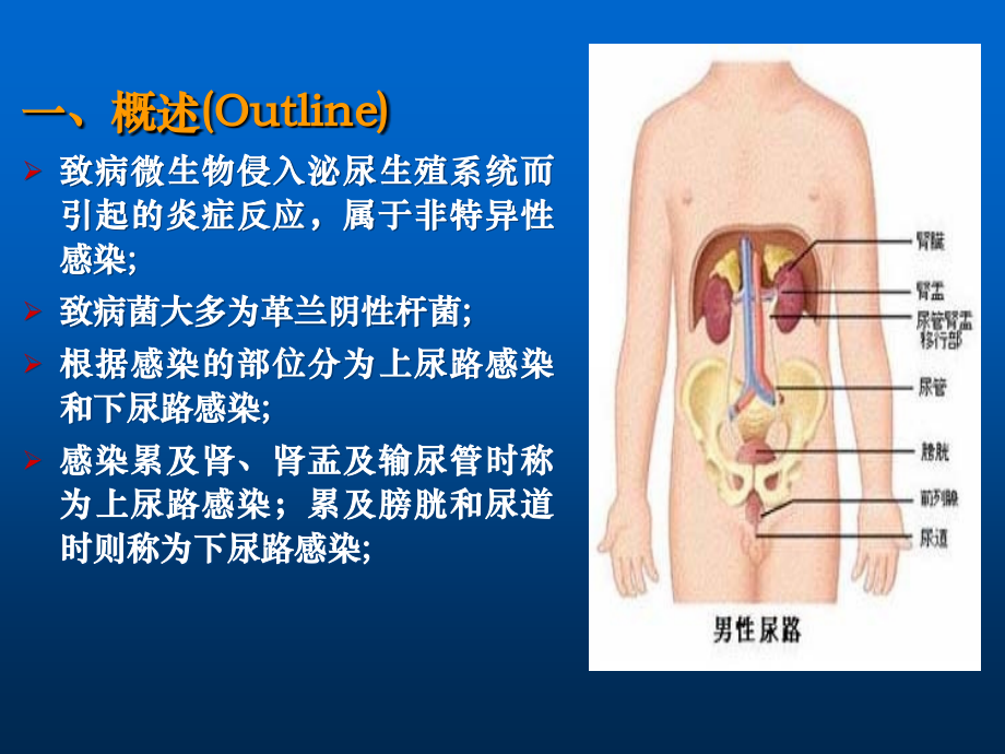 最新版泌尿男生殖系统感染结核费下载课件_第3页