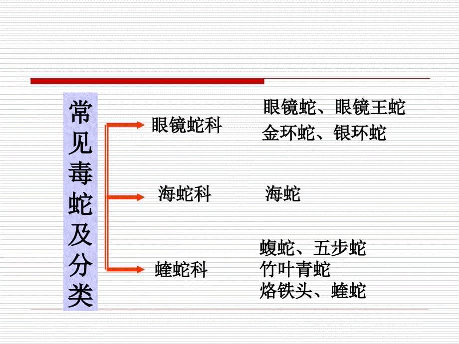 毒蛇和昆虫咬伤的紧急处理课件_1_第5页