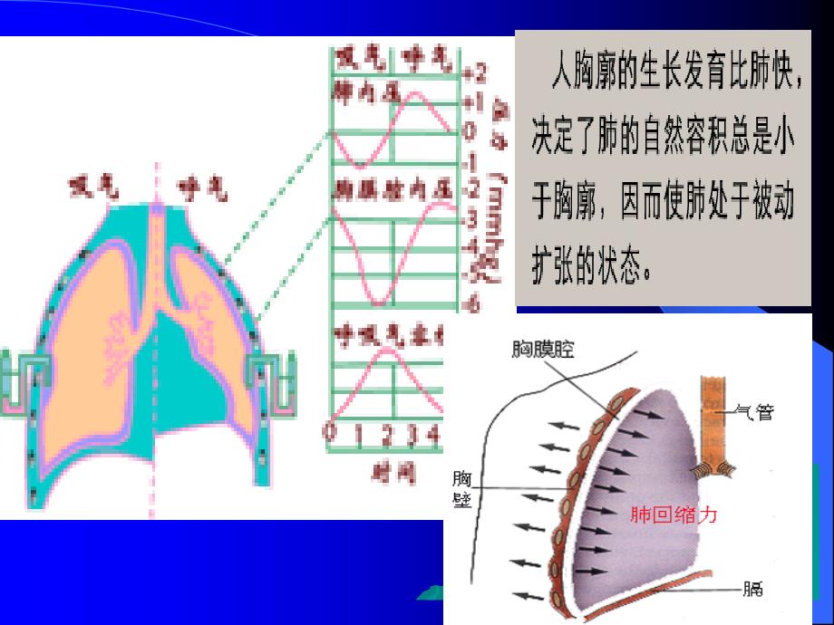 结核性胸膜炎课件_16_第3页