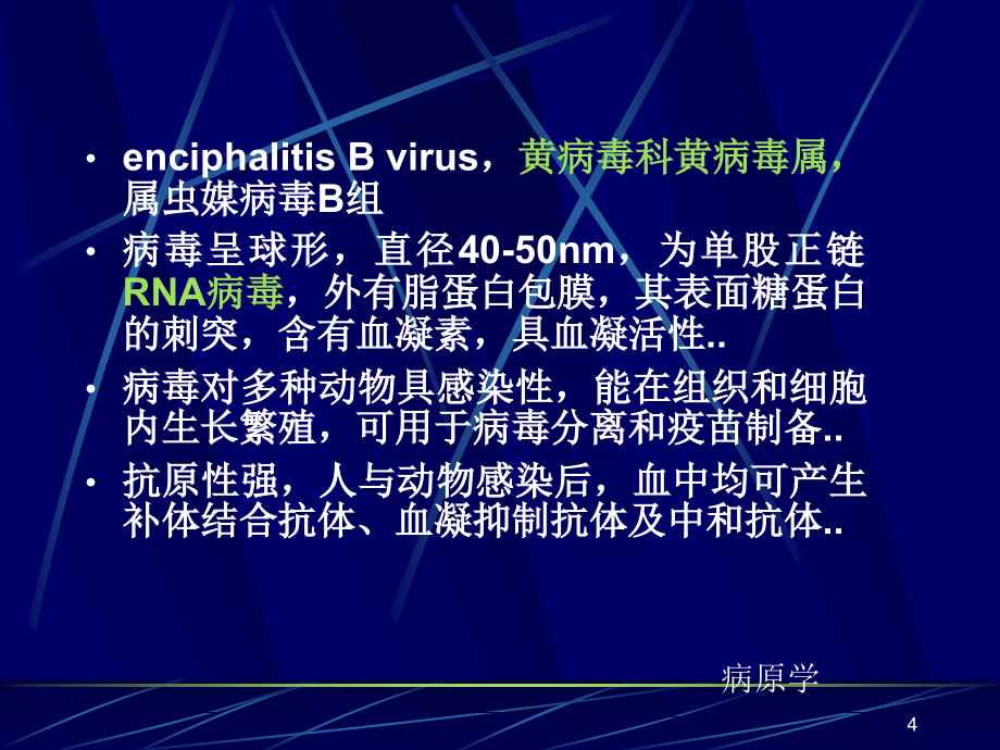 整理版乙脑（中医药）课件_第4页