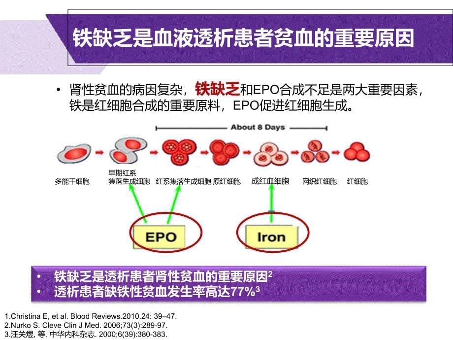 蔗糖铁肾内科（标准最新幻灯片）课件_第5页