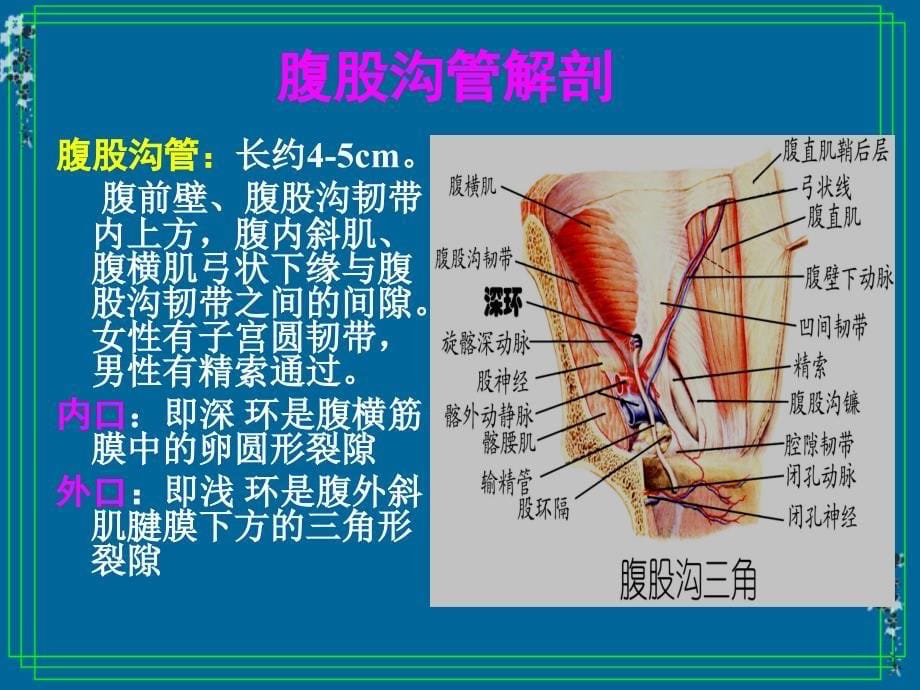 外科护理学课程课件16 腹外疝的护理_第5页