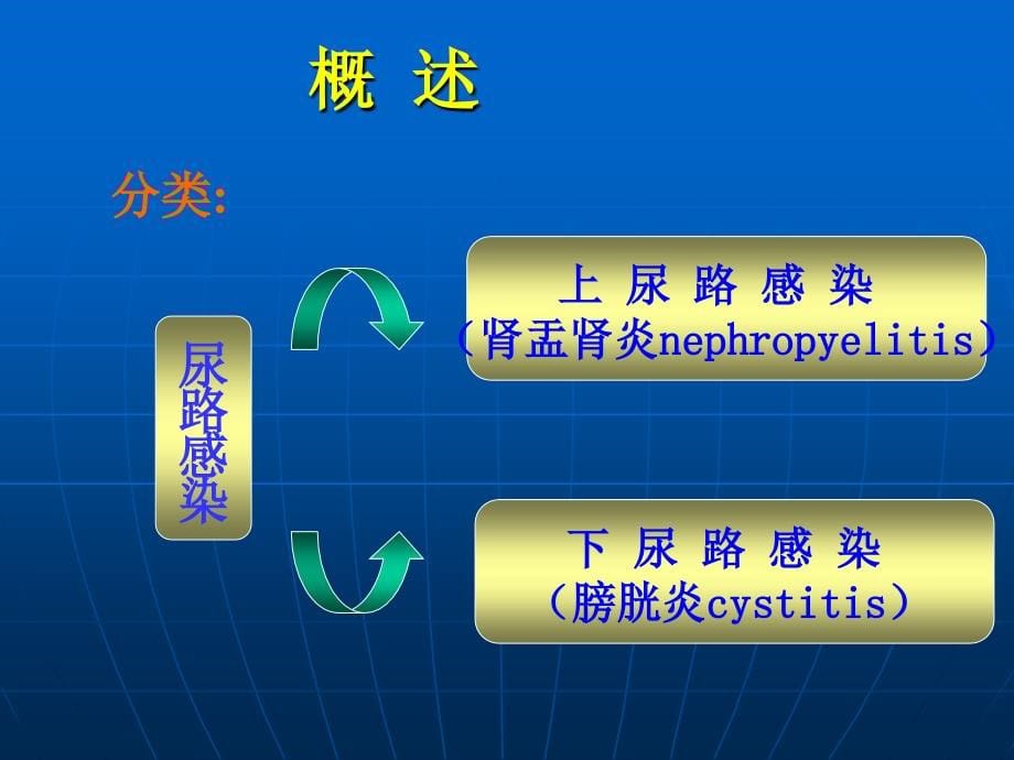 尿路感染病人的护理课件_2_第5页