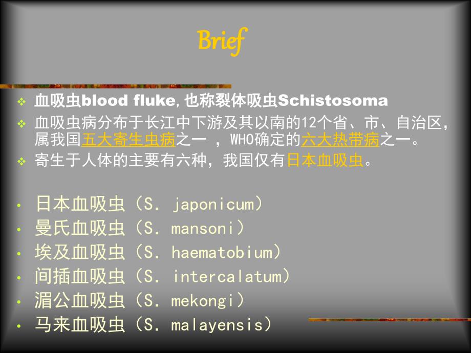 血吸虫姜片虫  日本裂体吸虫课件_第2页