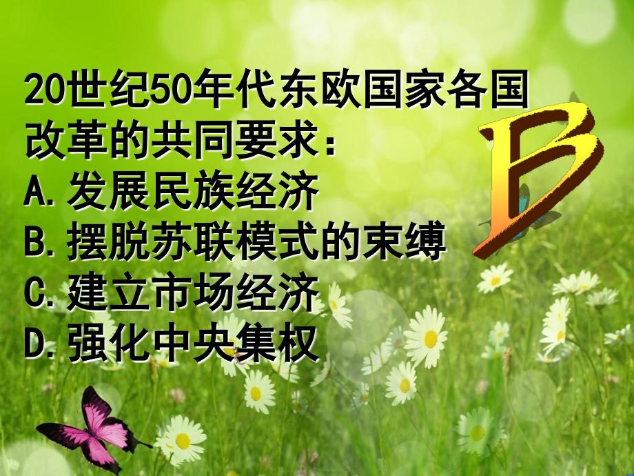 省大冶市金山店镇车桥初级中学九年级历史下册_11_东欧社会主义国家的改革与演变课件 新人教版_第4页