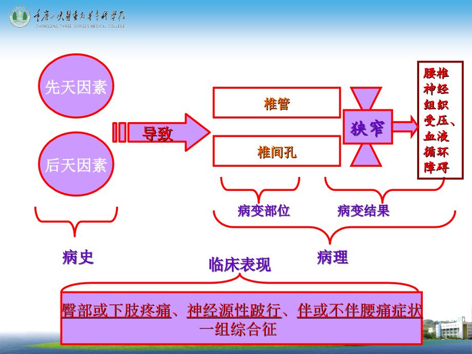 腰椎管狭窄手术治疗规范中国专家共识（整理）  副本课件_第4页