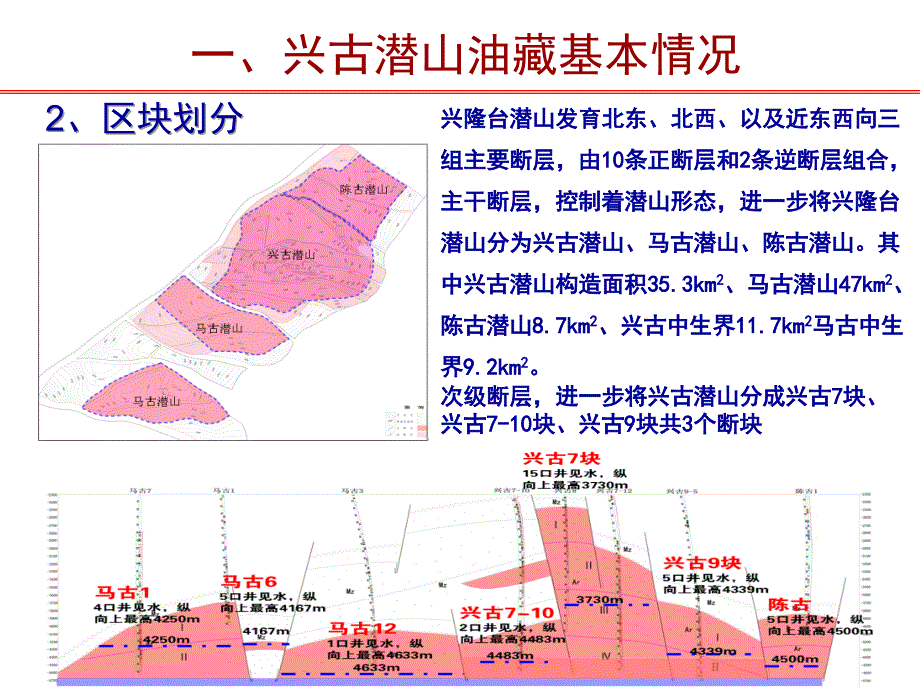 兴古潜山举升技术 2016年_第4页