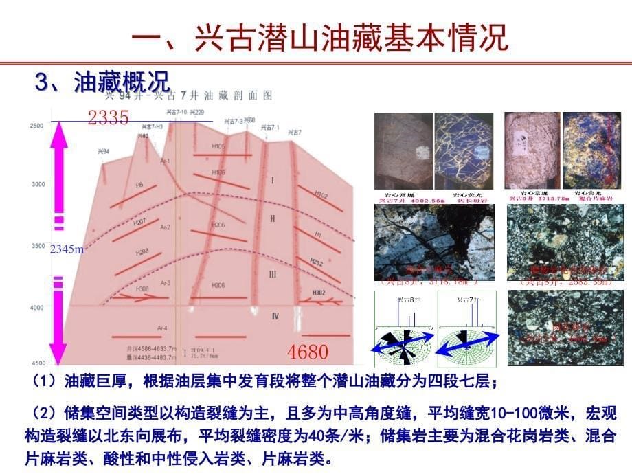 兴古潜山举升技术 2016年_第5页