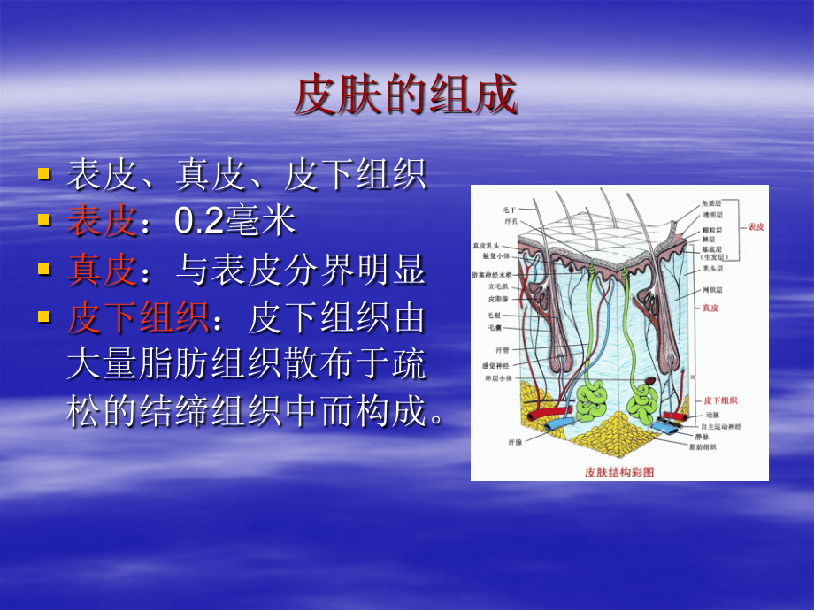 褥疮的预防及护理手术室课件_第2页