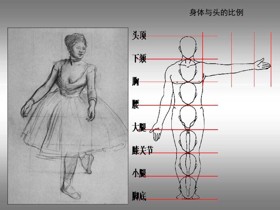 《《3在临摹中感受》课件》初中美术苏少版七年级下册_5_第4页