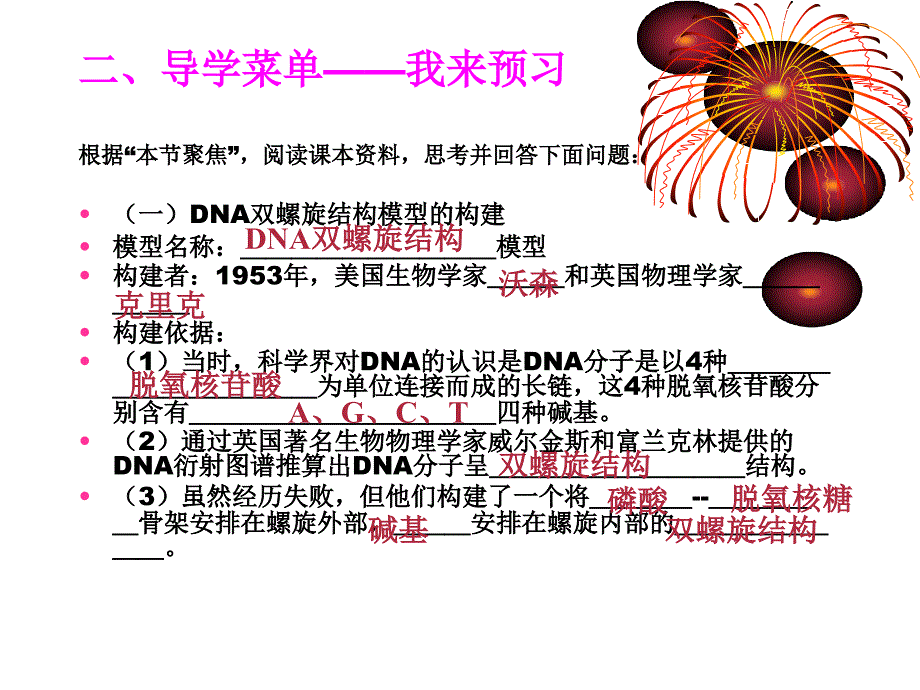 遗传的物质基础-DNA分子结构_第3页