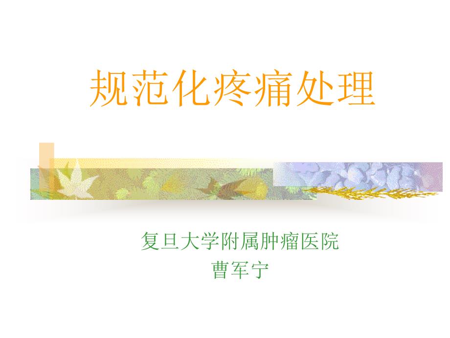 规范化疼痛处理课件_第1页