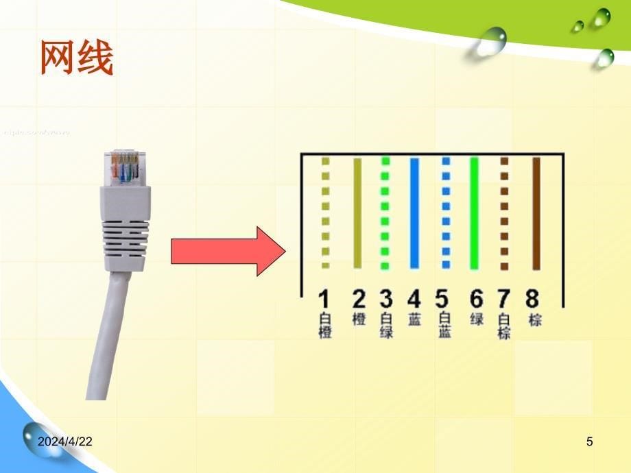 计算机网络及应用（信息技术川教版八年级下册）ppt课件_第5页